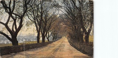Dingwall Conon Avenue frühe Postkarte um 1905