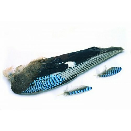 Blue Jay Wings for Fly Tying, Blu Jay Feathers, For Making Flies, Fly