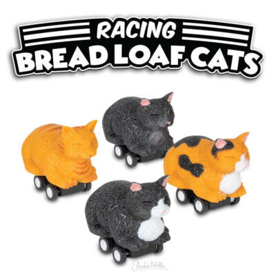 ミニカー CAT 楽天市場】CAT Mini Machines 5Pack キャタピラー ミニマシーンズ