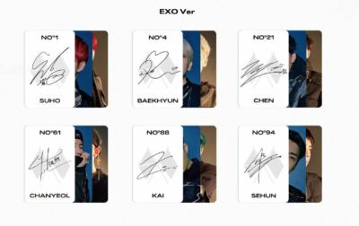 品質一番の EXO チャニョル トレカ obsession ネックレス x EXO(エクソ