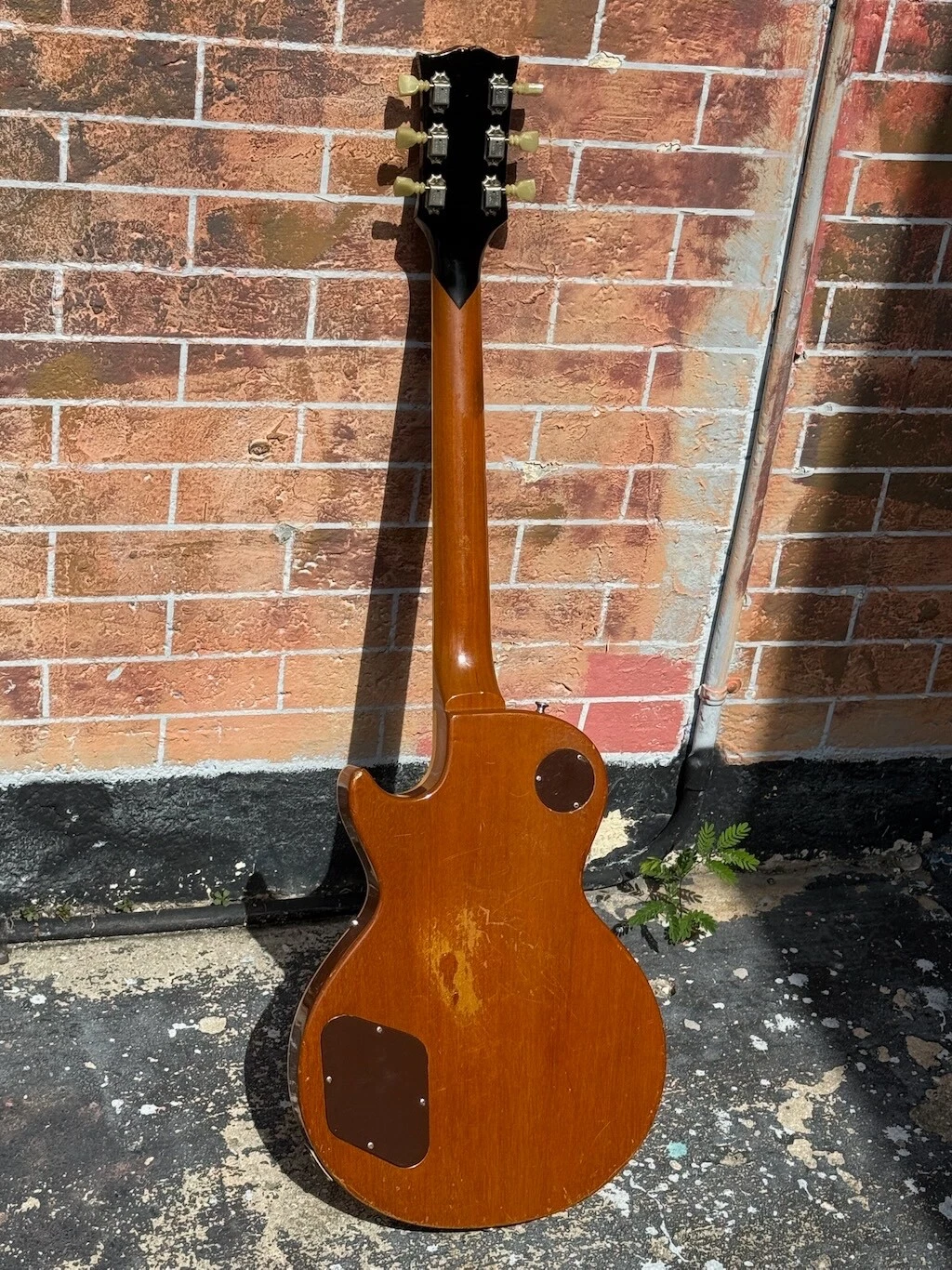 Picture 4 of 18