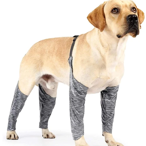 Neues Design verstellbare Hundehose und Ärmel, um zu verhindern, dass Hund Regenerationsanzug lecken - Bild 1 von 16