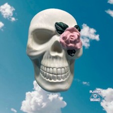 White Skull with Pink Rose Detail