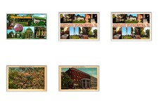 Lot of 5 Vintage Winchester Virginia Postcards Shenandoah Multi Blossom Apple