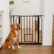 Carlson 29.5  36.5  Extra Wide Dog Gate with Small Pet Door, Walk-Through Pres...