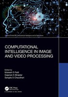 Computational Intelligence In Image And Video Processing | Patil (U. A.) | Buch