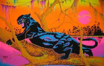 JUNGLE CAT - BLACKLIGHT POSTER - 23X35 FLOCKED 53100 | eBay