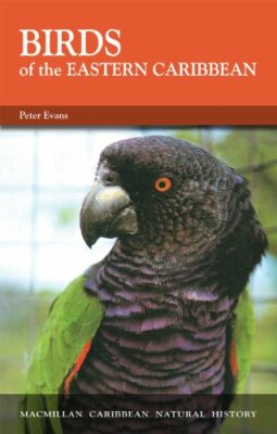 Birds of the Eastern Caribbean (Caribbean Pocket Natural History
