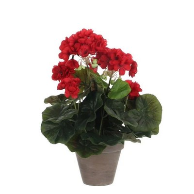 Mica Geranium im Topf rot, 34 x 20 cm  Kunstpflanzen