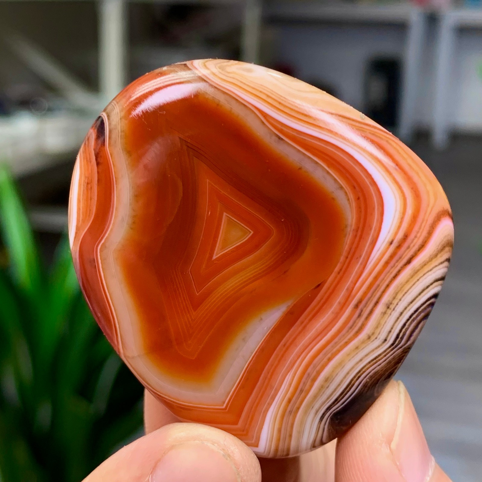 54GNaturalPolishedSilkBandedLaceAgateCrystalSardonyxCarnelianPalmstone