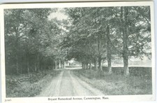 Cummington MA William Cullen Bryant homestead and avenue Collector's Set