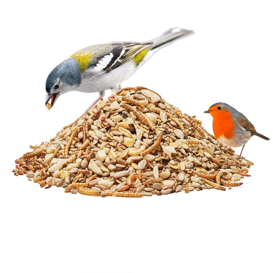 Vogelfutter Wildvogelfutter Phönix Brutzeit Aufzucht Premiumqualität Pauls Mühle - Bild 4 von 4