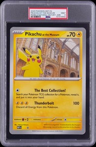 Pikachu at the Museum | eBay