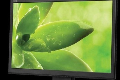 NEC AS192WM AccuSync 19'' Widescreen LCD Monitor Grade A (no stand)