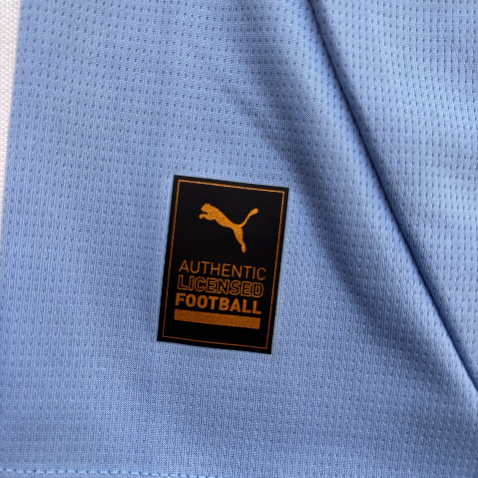 Manchester City 24/25 Home Shirt Puma  Sky Blue Size S thumbnail 8