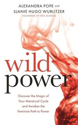 Wild Power ~ Sjanie Hugo Wurlitzer ~  9781781807583