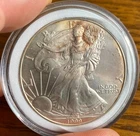 1999 1 oz Toned Silver American Eagle (Brilliant Uncirculated)