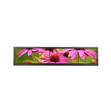 VSDISPLAY 24 Inch 1920x360 IPS Stretched Wide Bar Display for Gaming Marquee ...