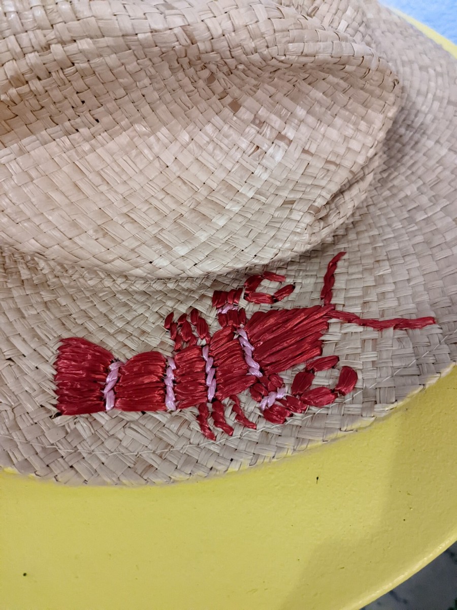 Postmark Anthropologie Straw Raffia Floppy Hat Reb Lobster  display picture 3