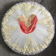 2023 New New Swan Lake Ballet Stage Dress Adult Dance Skirt Girl