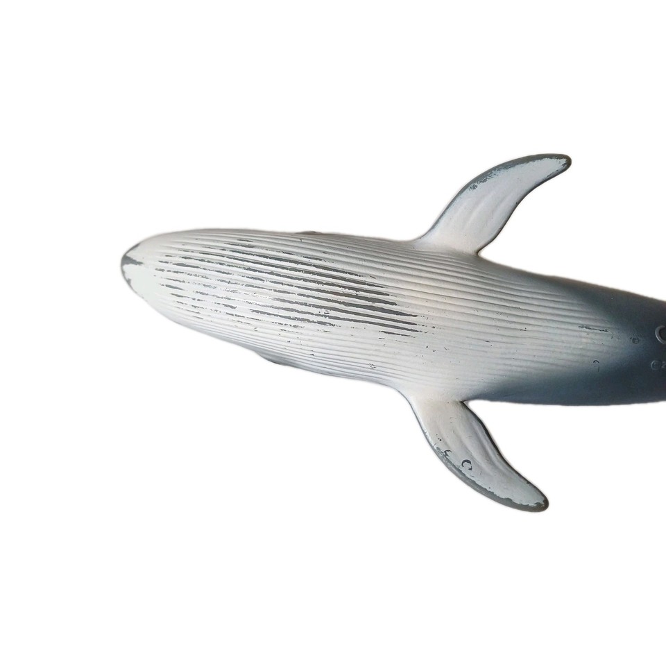 Foca Leopardo – Collecta Italia