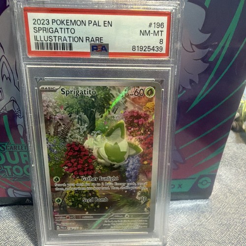 Sprigatito graded PSA 8 for sale on eBay