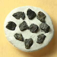 10 Splitter Meteorit Aiquile - Chondrit aus Bolivien - zusammen 0,11g