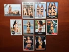 Custom ACEO Nikki Brie Bella Twins WWE Divas Wrestling Sports Card (NB-2)