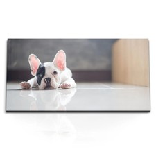 Quadri stampa artistica 120x80 cm cane cucciolo bulldog francese dolce