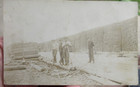 ca 1910 LOGGING EMPLOYEES AT THE LUMBER YARD REAL PHOTO POSTCARD — photo 1