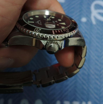 Buy Squale Classic Y1545 Diver Automatic Watch Full Set from Japan