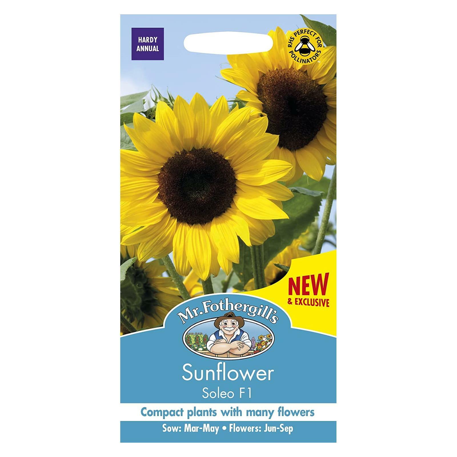 Mr Fothergills Flower Seeds Sunflower Soleo F1 Grow Hardy Annual Bright Colour