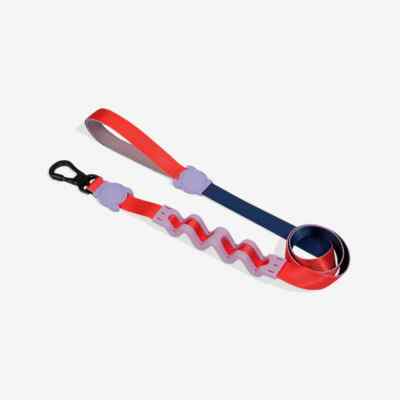 ZEE.DOG | Purple & Pink Ruff Leash 2.0 | Genie | Heavy Duty Shock Absorbent