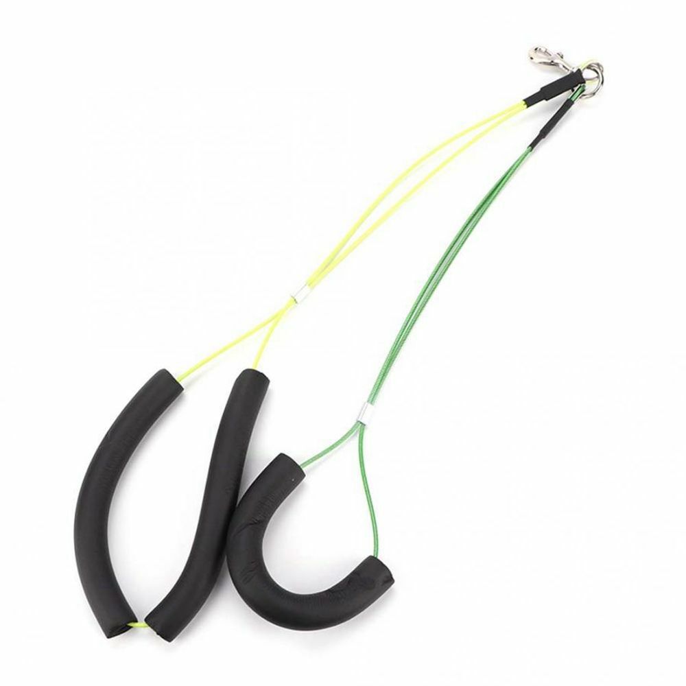 Cat Standing Training Pet Grooming Tool Dog Grooming Loop Leash Haunch Holder eBay