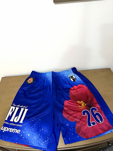 Supreme Fiji Shorts | eBay