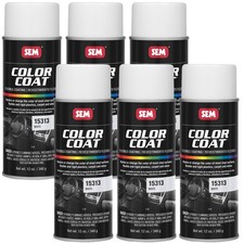 SEM Color Coat White Flexible Vinyl Spray Aut...