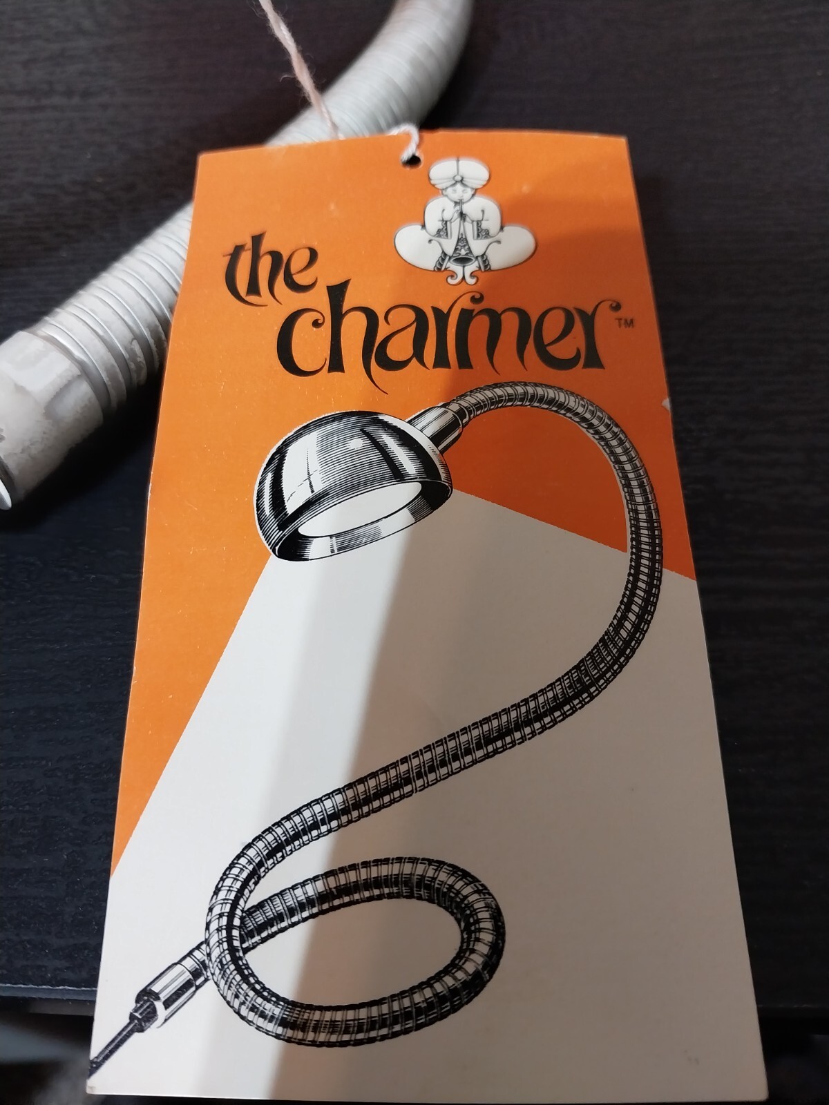 RARE Alsy Vintage The Charmer Desk Lamp 1973