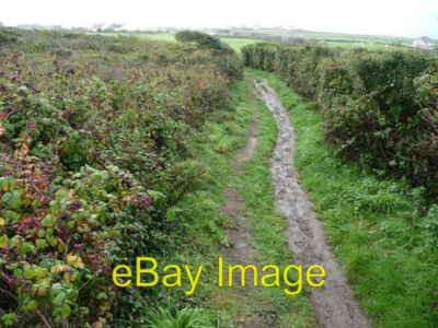Foto 6x4 Herbst Fußweg in der Nähe von Echsendorf Hier Brombeeren Menge die c2010