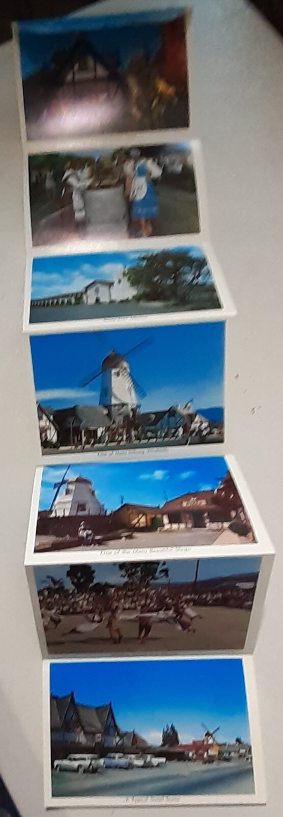 Picture 4 of 19