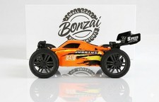 Bonzai Jubatus Redcathbx B416 114 Scale Rc 4x4 Hobby Grade Off-road Buggy