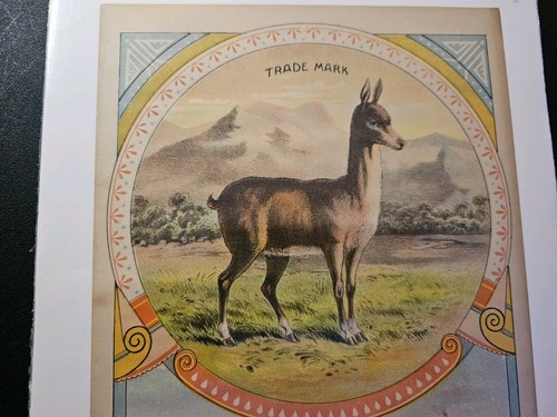 Caja de tabaco antigua original del siglo XIX etiqueta rara marca Guanaco excelente estado. - Imagen 4 de 5