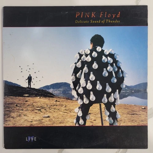 Pink Floyd - Delicate Sound Of Thunder 2x Vinyl LP - 1988 - EX Cond - PC2 44484