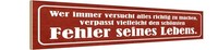 Holzschild 10X46 Cm SchöNster Fehler Seines Lebens Dekoration Deko Geschenk Holz