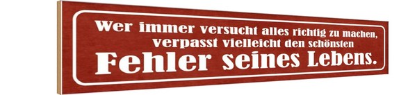 Holzschild 10X46 Cm SchöNster Fehler Seines Lebens Dekoration Deko Geschenk Holz-image