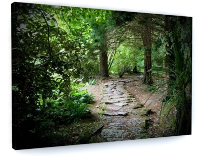 WOODLAND FOREST TREE PATH CANVAS PICTURE PRINT WALL ART #5229 | eBay UK