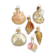 Old World Christmas Seashell Christmas Blown Glass Tree Ornaments Set of 6