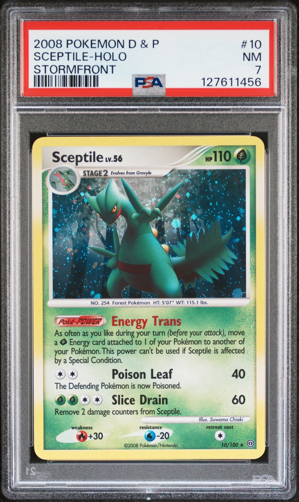 Pokemon Card Sceptile 10/100 Holo Foil Stormfront PSA 7 NM