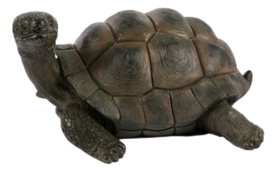 Large Tortoise Garden Ornament Home Decor Resin Statue Life Size in Out 21x40cm