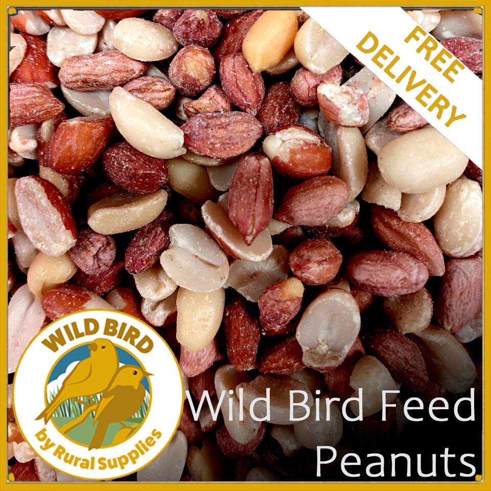 Peanuts Wild Bird Food Premium Tested Quality Fresh Feed Garden Birds