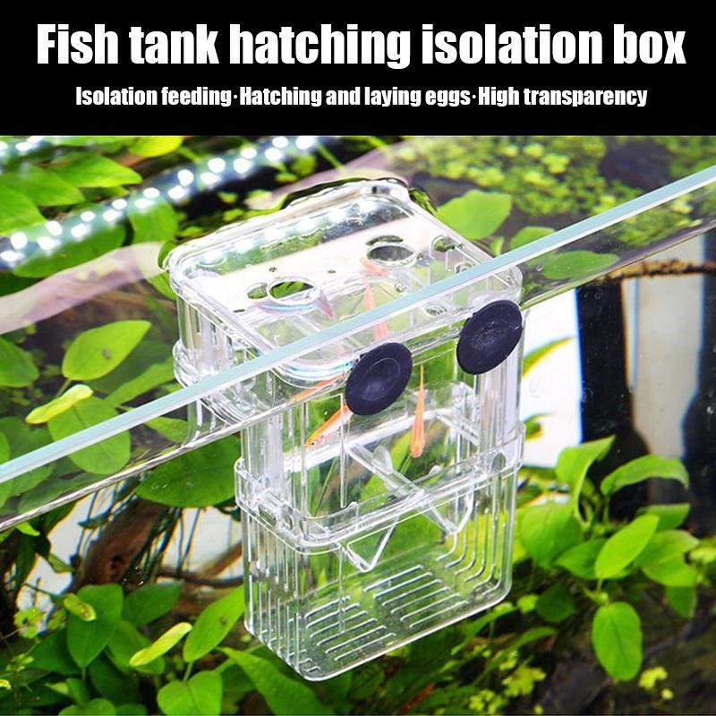 best spinning rerl combo Striped Bass Topwater & Jigging – Everyday 7' – J&H Tackle trend looks and cutting Hair Pick Color:Natural-lifeguard hook, fishing - free